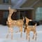Crystal Splendor Champagne Doe and Fawn with 105 LED Mini Lights